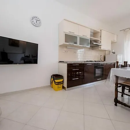 Biserka 3129 Palit