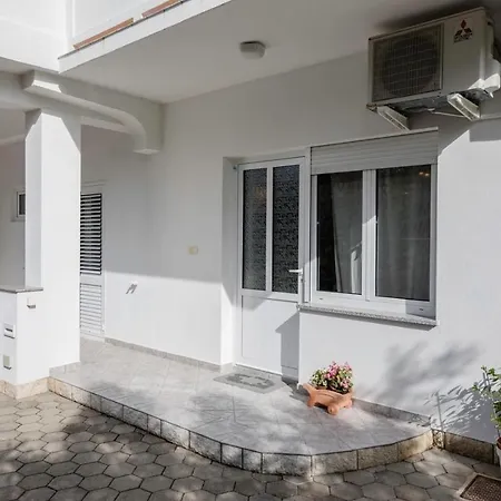 Biserka 3129 Palit