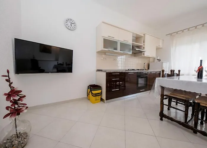 Biserka 3129 Palit