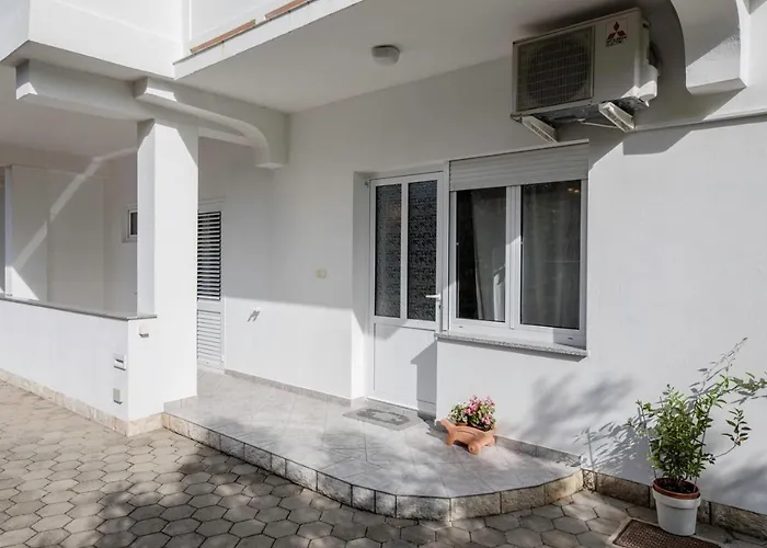 Biserka 3129 Palit